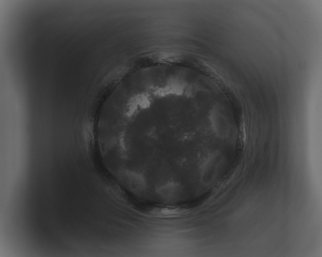 X0000100750506200806261546