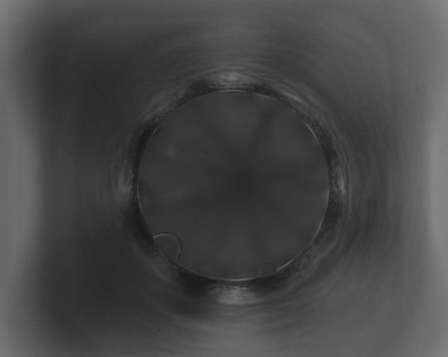 X0000100750507200806261546