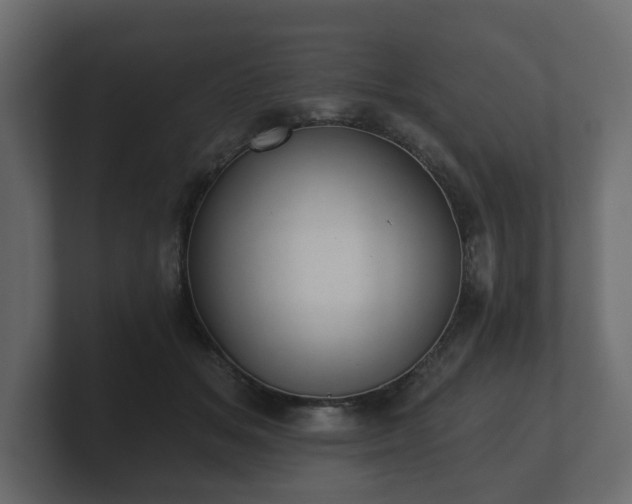 X0000100750509200806261546