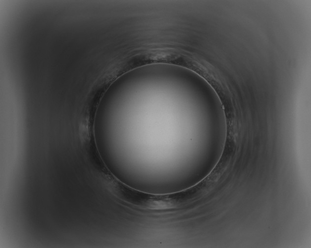 X0000100750510200806261546