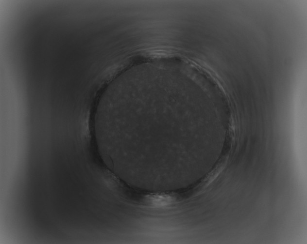 X0000100750512200806261546