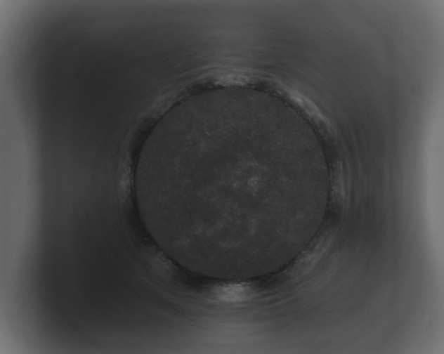 X0000100750513200806261546