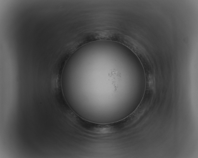 X0000100750514200806261546