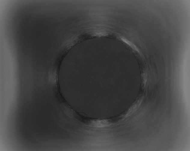 X0000100750517200806261546