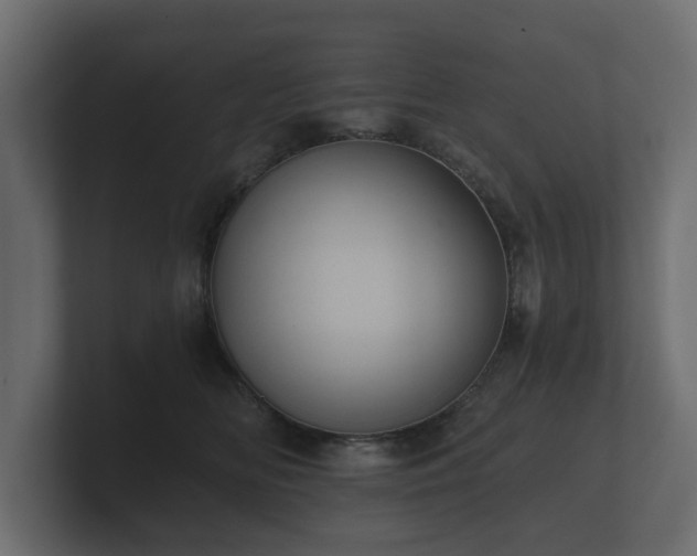 X0000100750518200806261546