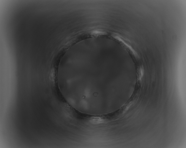 X0000100750519200806261546