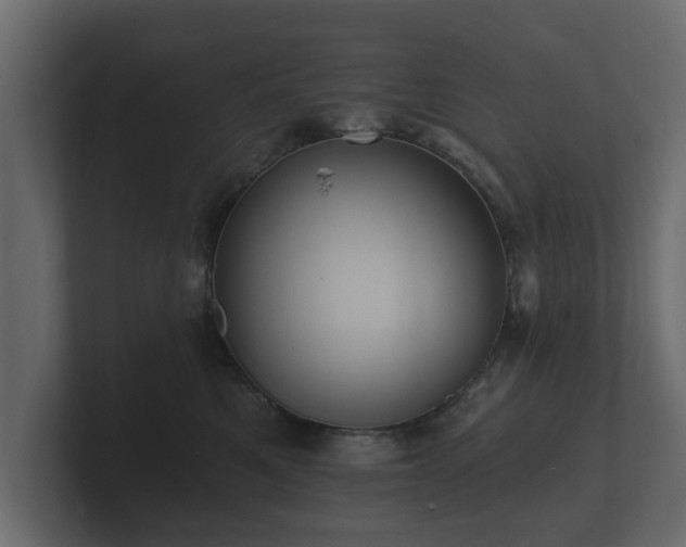 X0000100750521200806261546