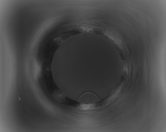 X0000100750526200806261546