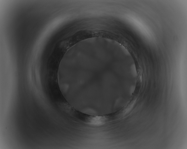 X0000100750527200806261546