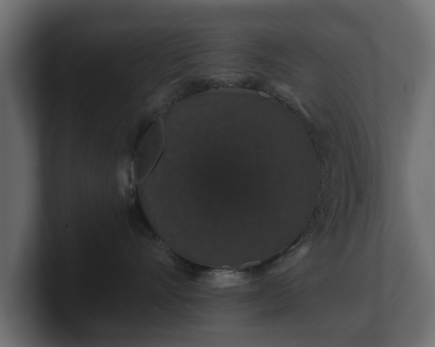 X0000100750528200806261546