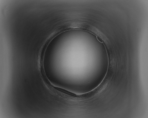 X0000100750530200806261546