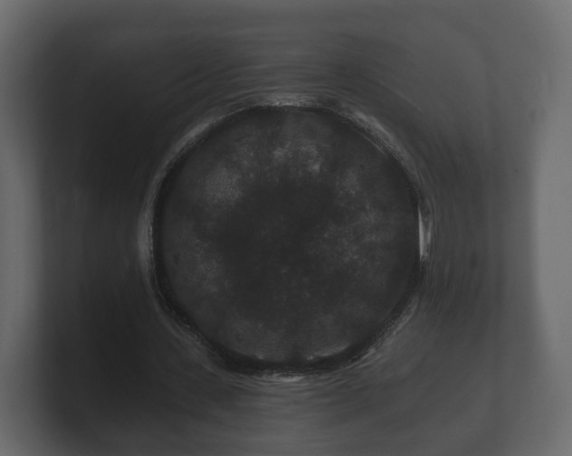 X0000100750531200806261546