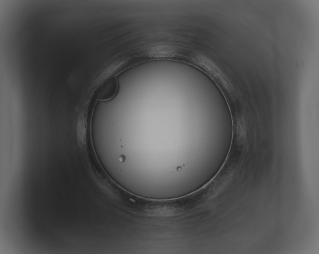 X0000100750533200806261546