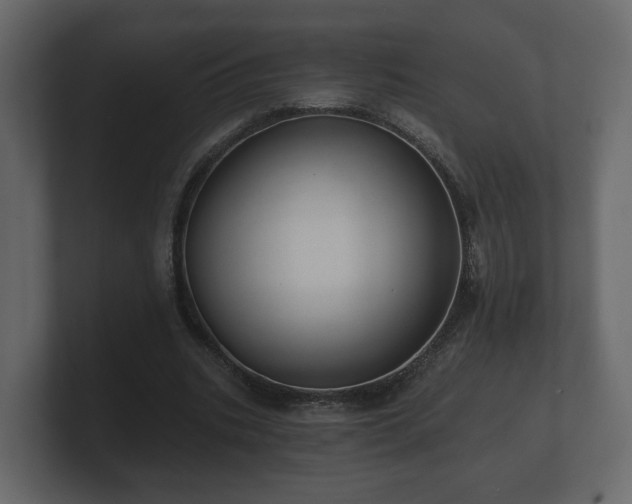 X0000100750535200806261546