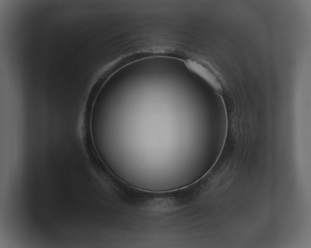 X0000100750536200806261546