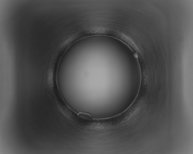 X0000100750538200806261546