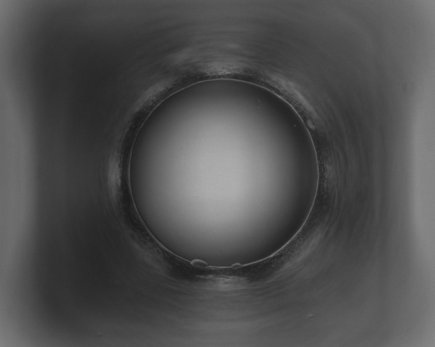 X0000100750539200806261546