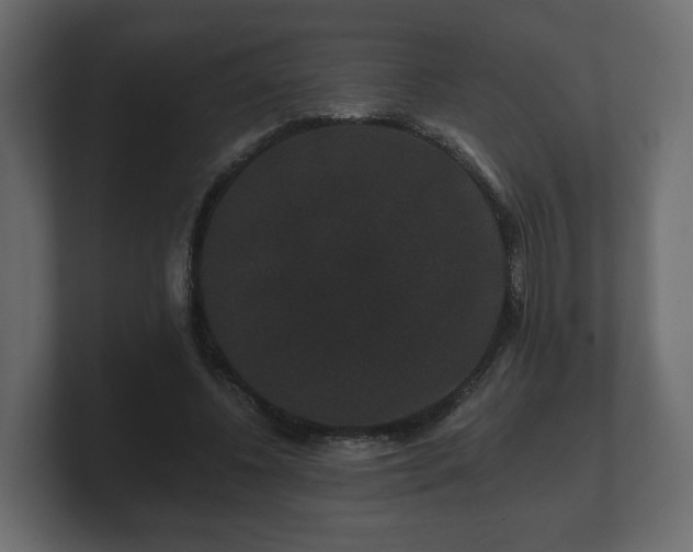 X0000100750540200806261546