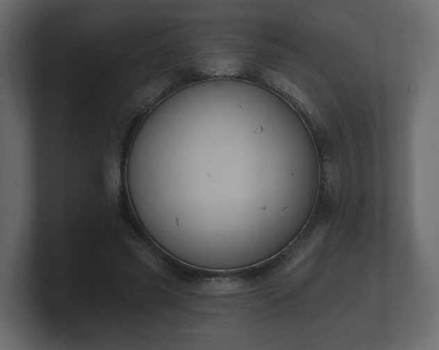 X0000100750541200806261546