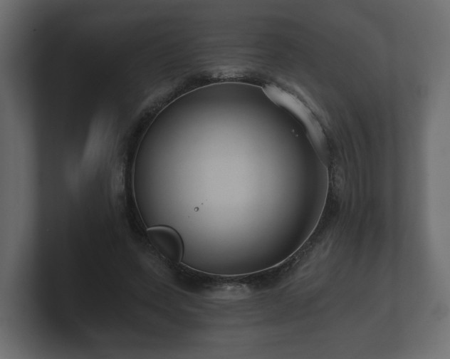 X0000100750543200806261546