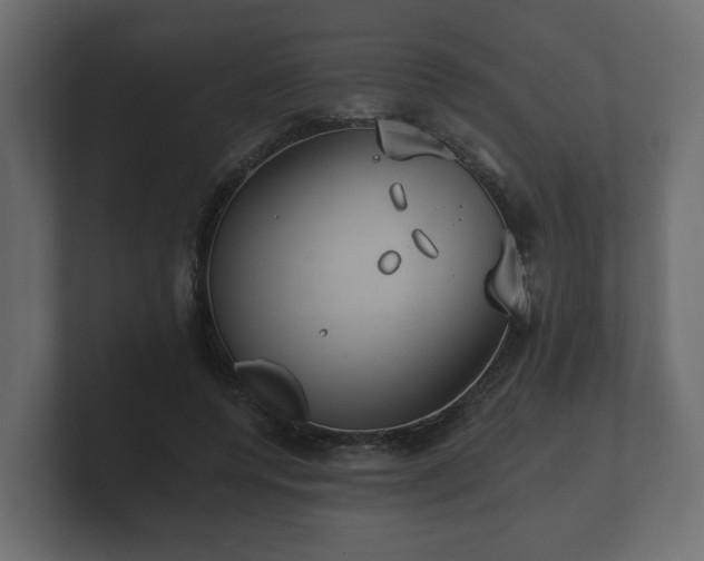 X0000100750544200806261546