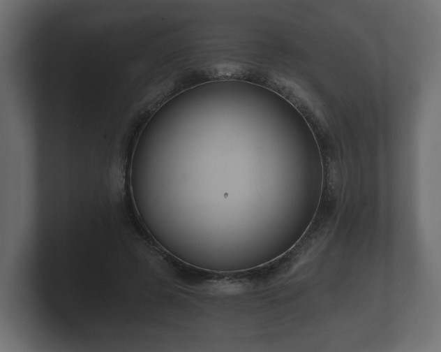 X0000100750545200806261546