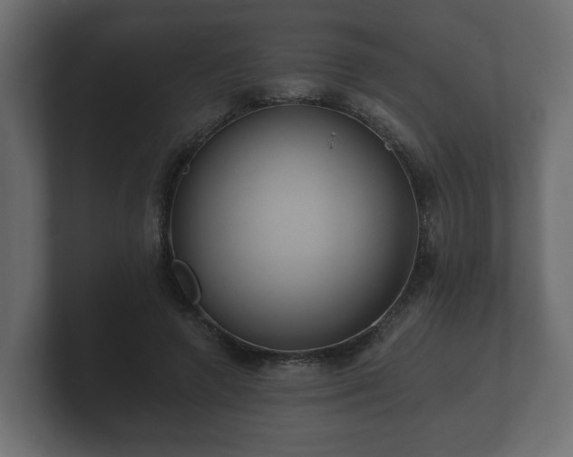 X0000100750546200806261546