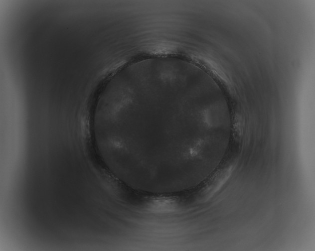 X0000100750547200806261546