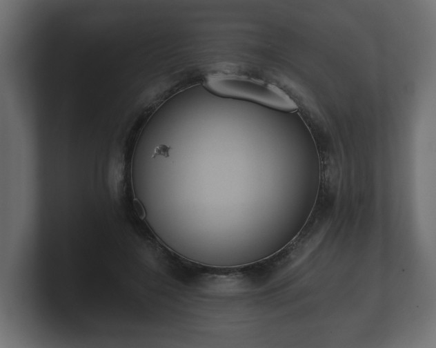 X0000100750548200806261546