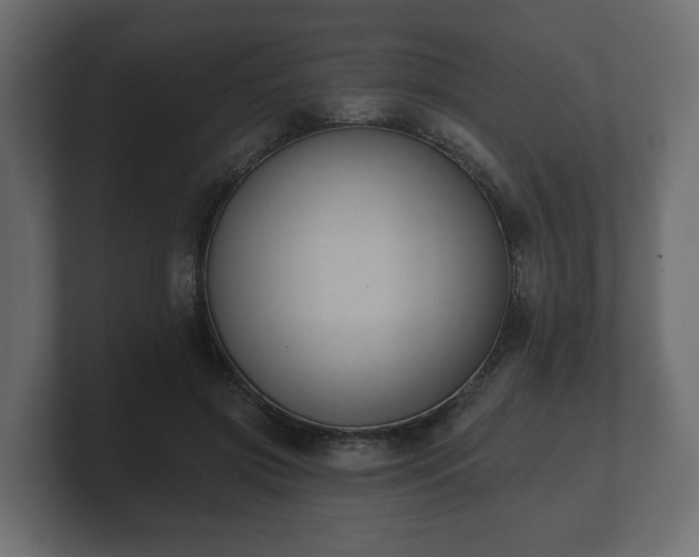 X0000100750549200806261546