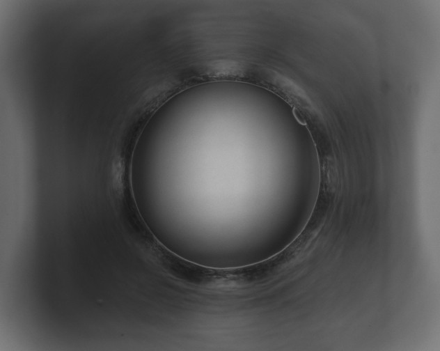 X0000100750550200806261546