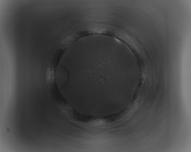 X0000100750551200806261546