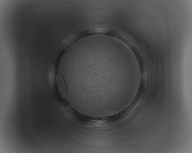 X0000100750552200806261546