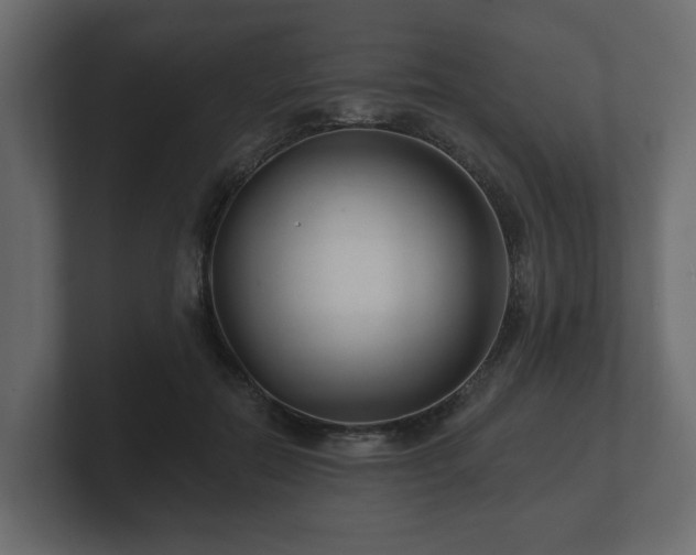 X0000100750554200806261546