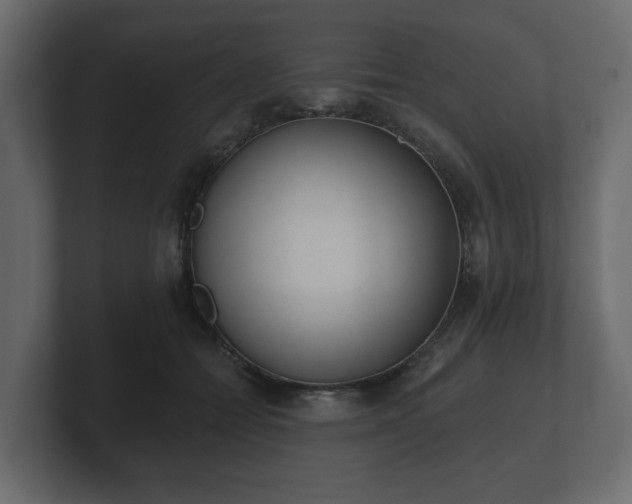 X0000100750558200806261546