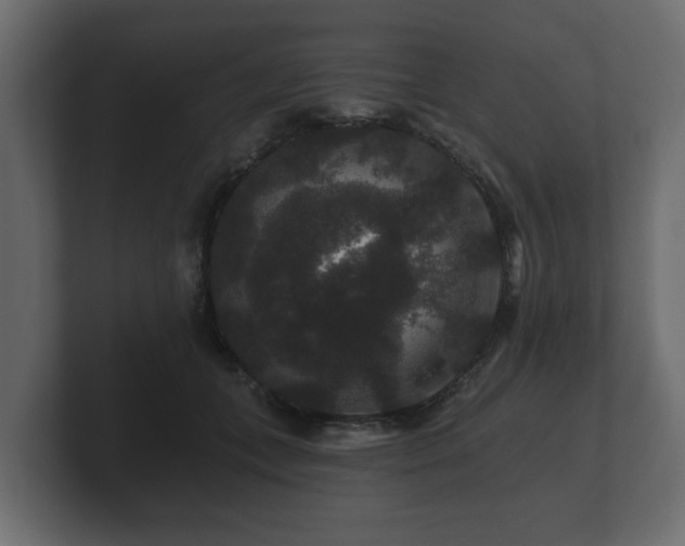 X0000100750559200806261546