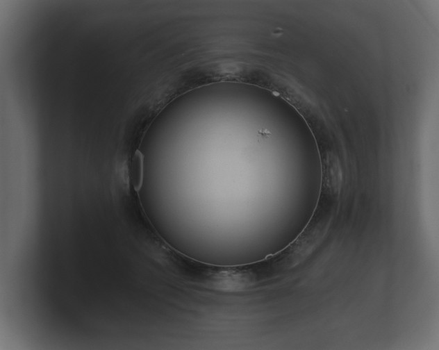 X0000100750562200806261546