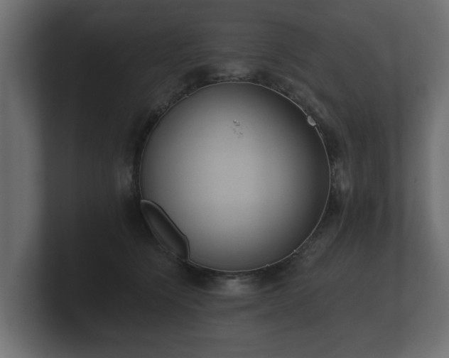 X0000100750564200806261546