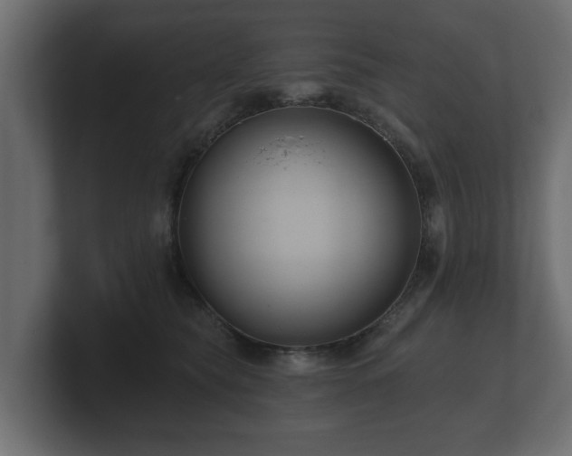 X0000100750565200806261546