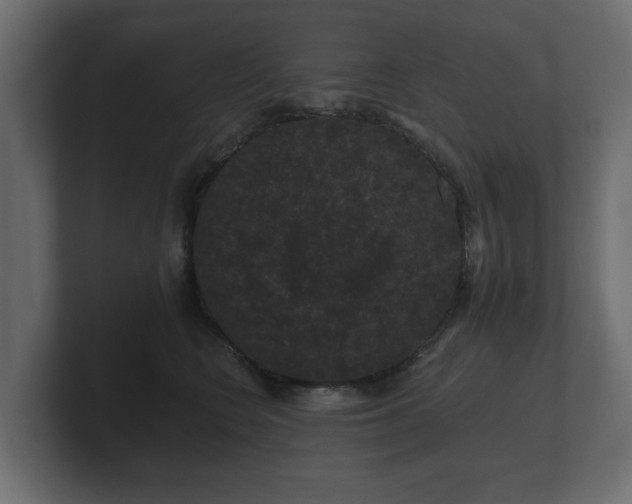 X0000100750566200806261546