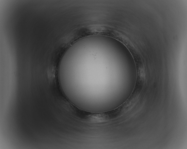 X0000100750567200806261546