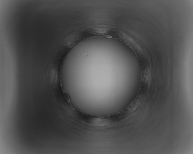 X0000100750568200806261546