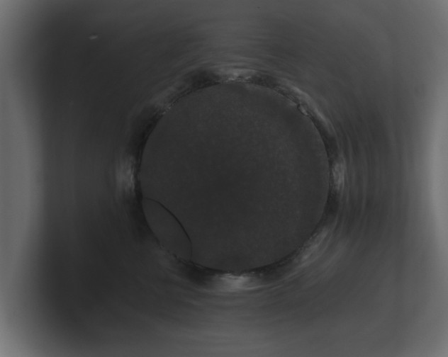 X0000100750570200806261546