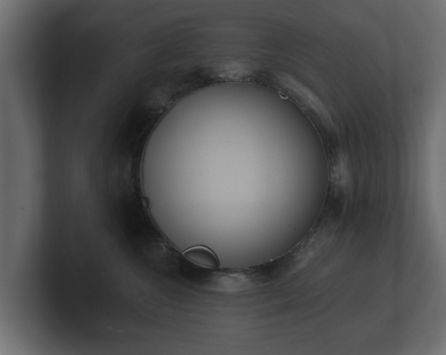 X0000100750572200806261546