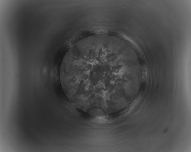 X0000100750573200806261546