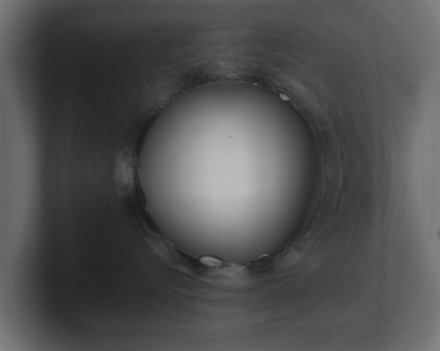 X0000100750576200806261546