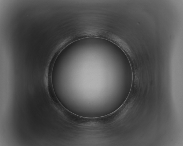 X0000100750578200806261546