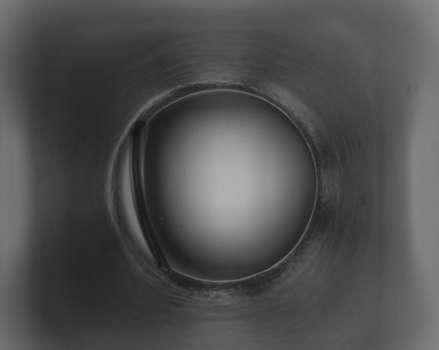 X0000100750580200806261545