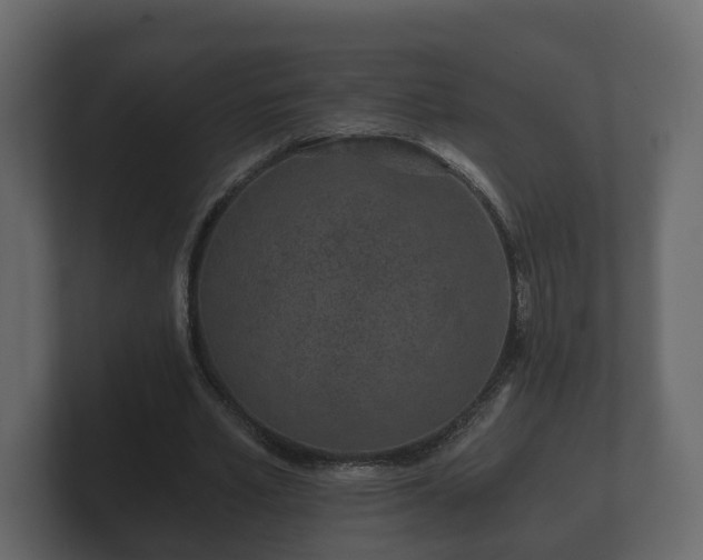 X0000100750581200806261545