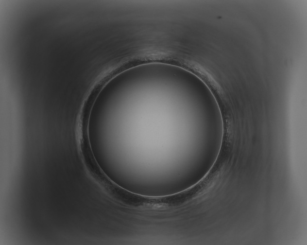 X0000100750582200806261545